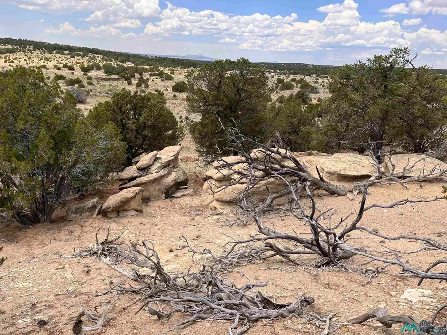 Ponderosa Ranch, Pie Town, NM 87827 - #3