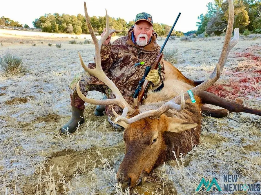 Highway 96 & 595 Highway, Regina, NM 87017 - #2