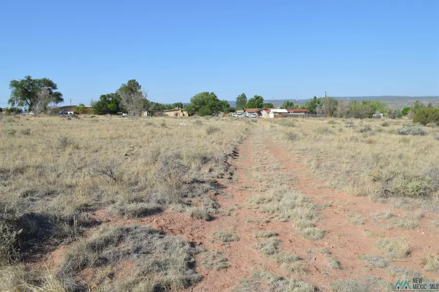 4 Milky Way Drive, Milan, NM 87020 - #3