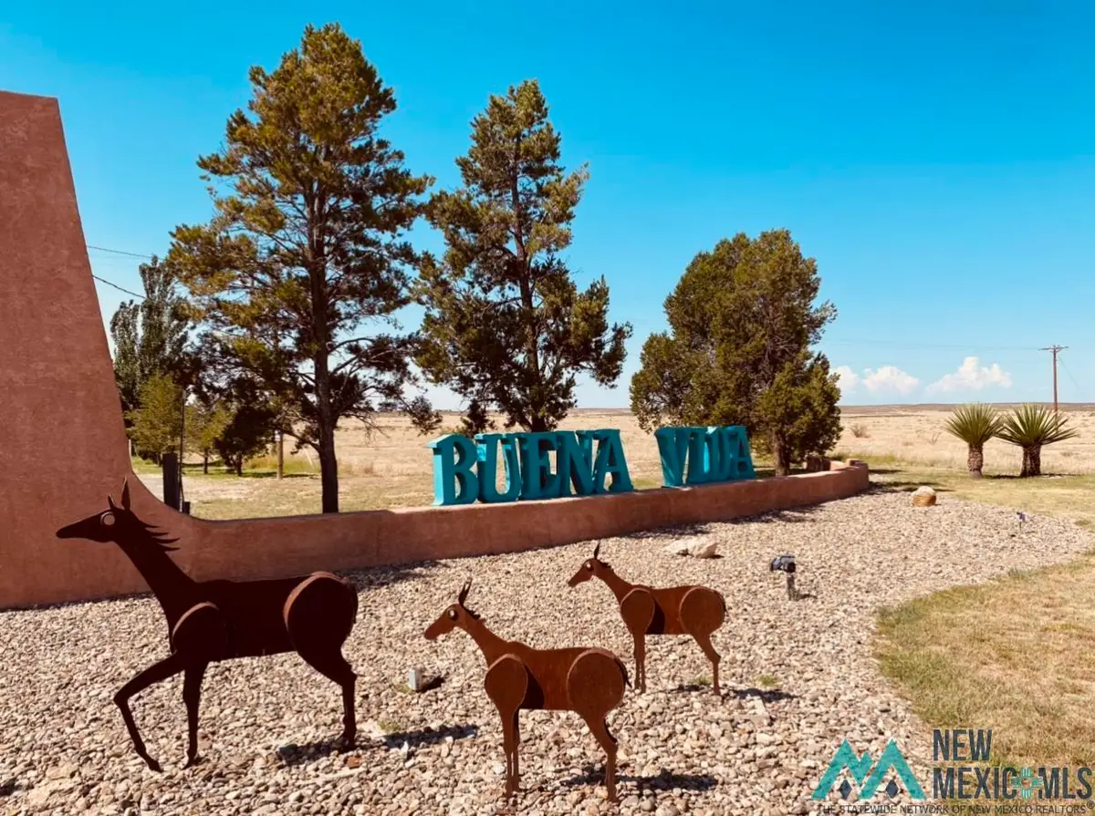 00 Las Flores Dr Drive, Roswell, NM 88203 - Image #1