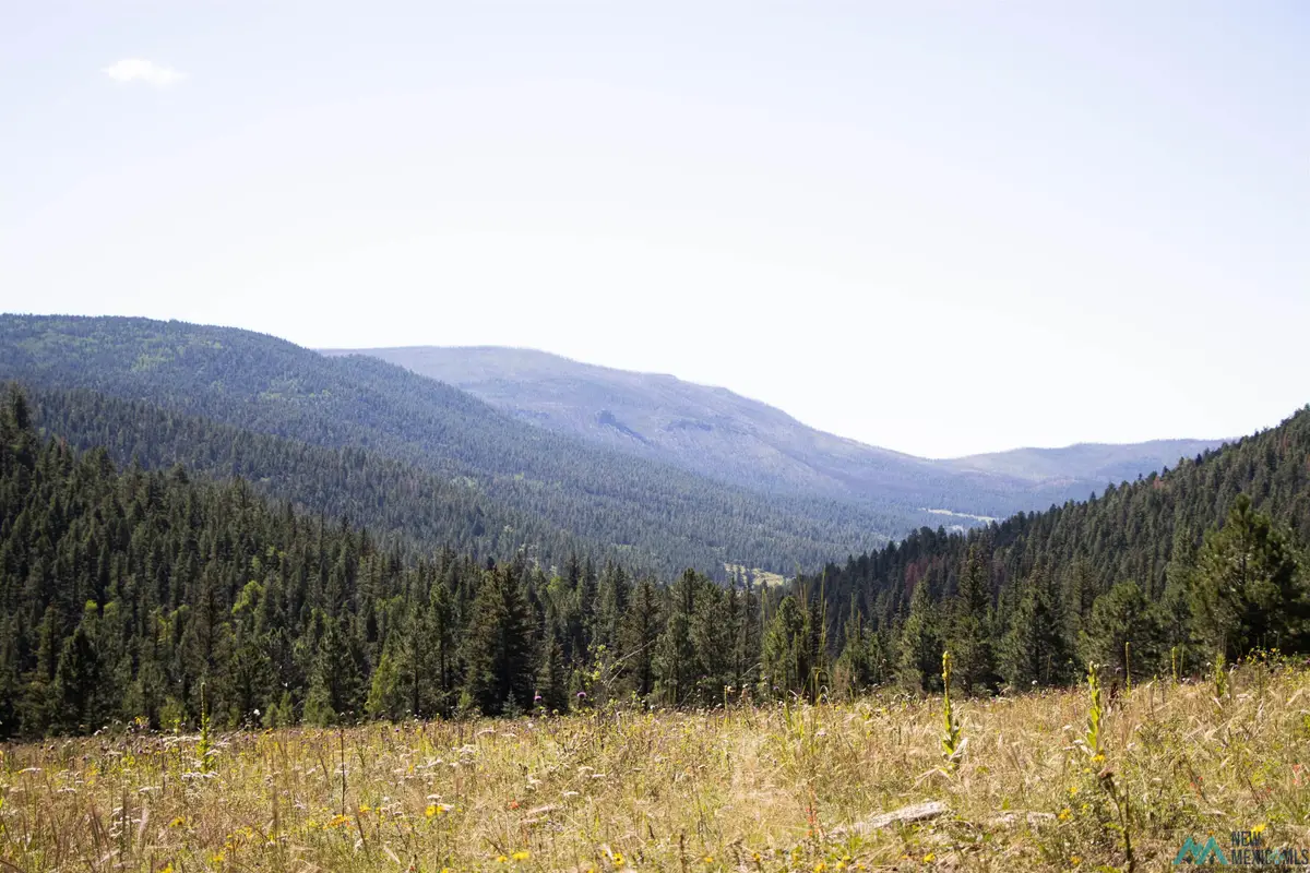 Luna Canyon Mora County, Chacon, NM 87713 - Image #1