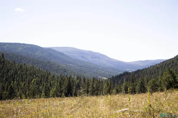Luna Canyon Mora County, Chacon, NM 87713