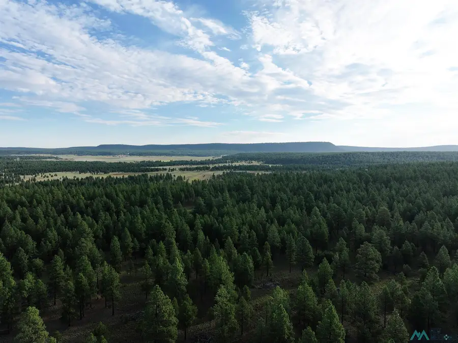 000 Forest Road 157, Bluewater, NM 87005 - Image #3