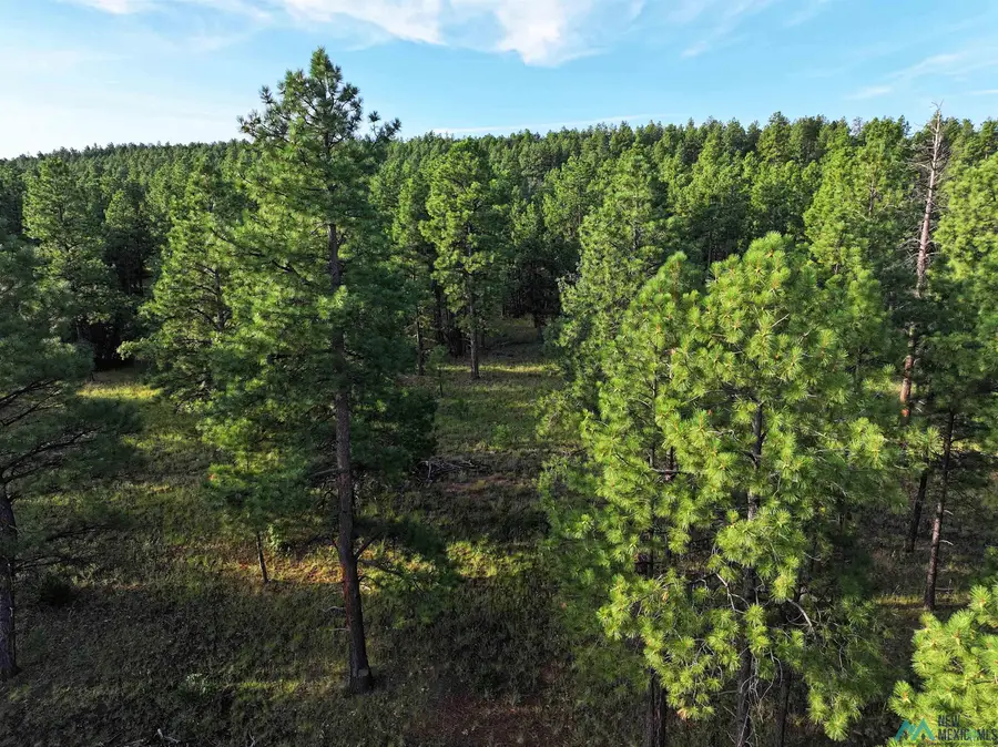 000 Forest Road 157, Bluewater, NM 87005 - Image #3