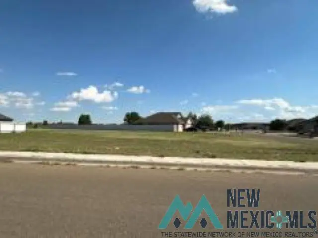 3721 Woodlark Road, Clovis, NM 88101 - Image #1