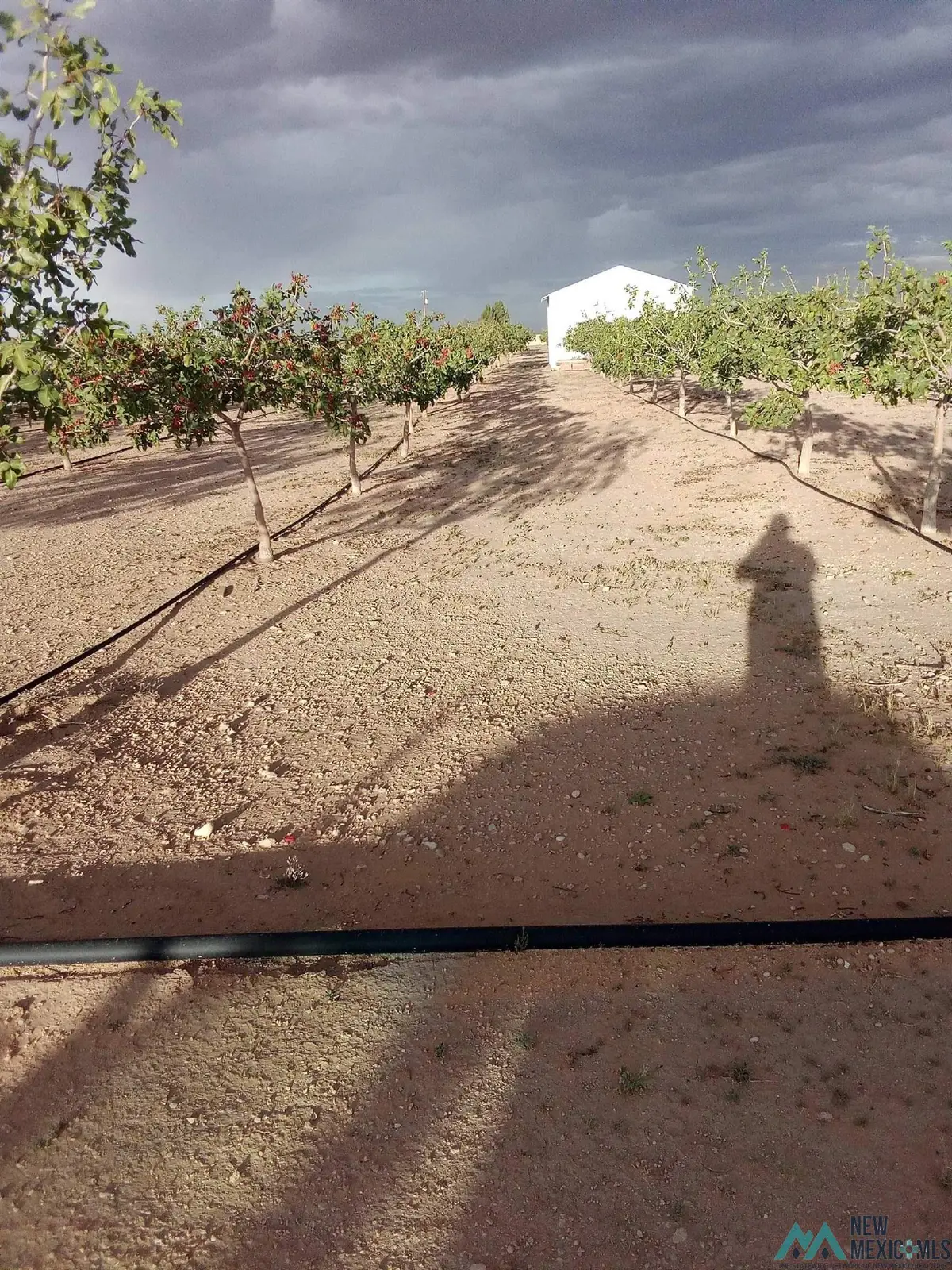 7074 Kevil Road, Carlsbad, NM 88220 - Image #1