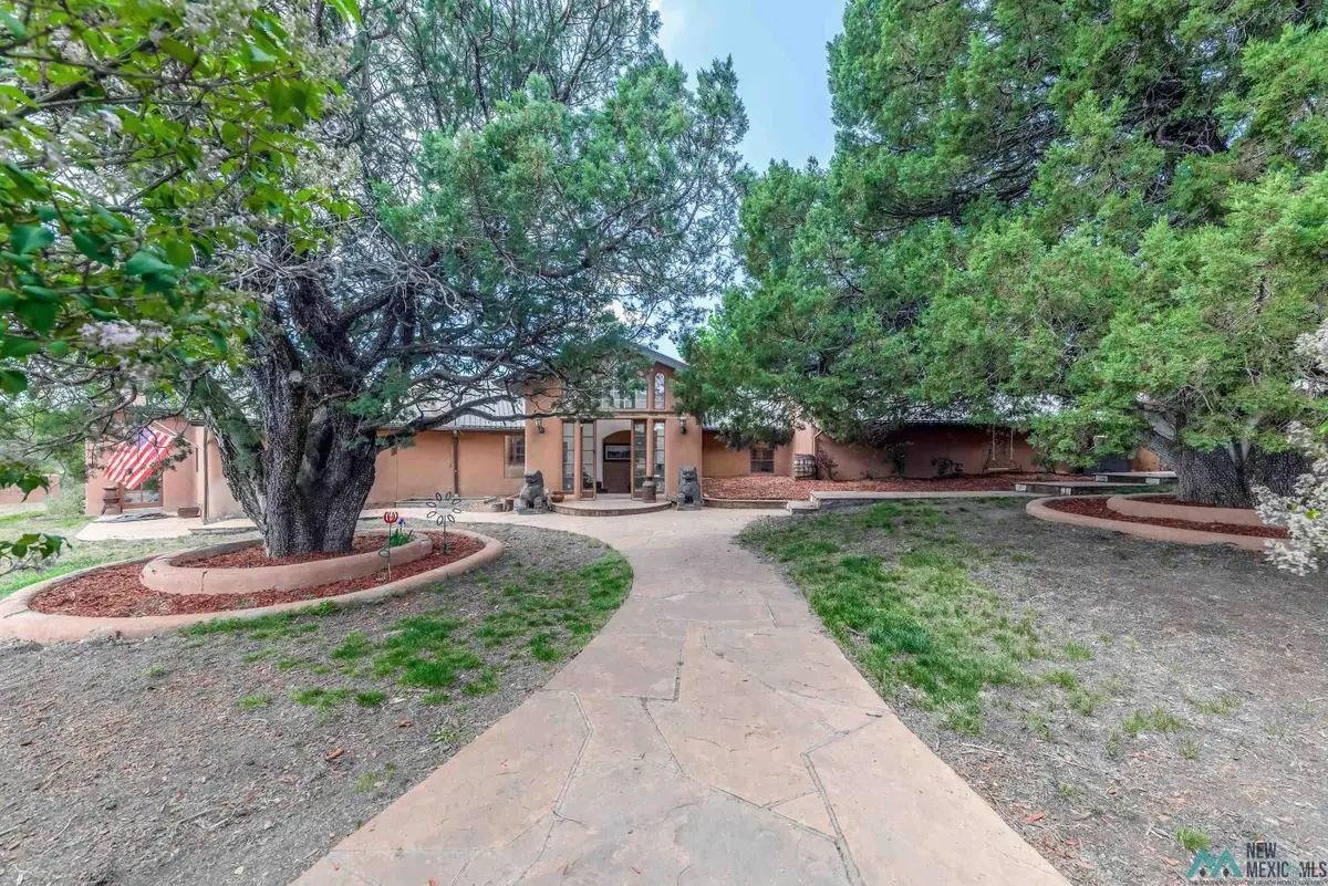 231 Cedar Crest Road, Nogal, NM 88341 - Image #1
