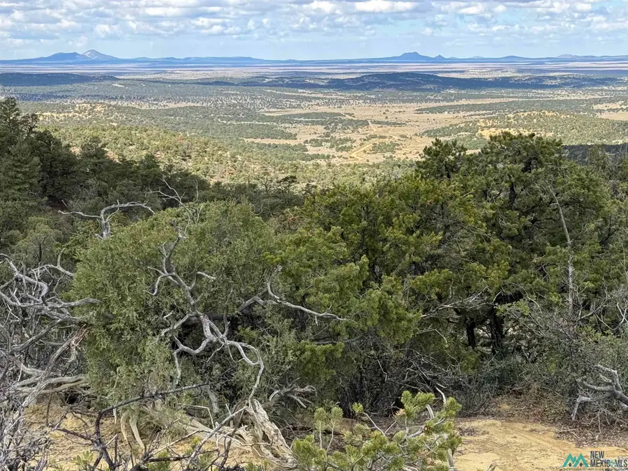 107 Silver Spur Ct Road, Pie Town, NM 87829 - Image #2