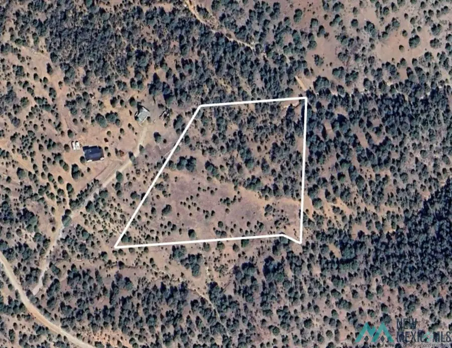 0 Lampbright Road, Hanover, NM 88041 - Image #2