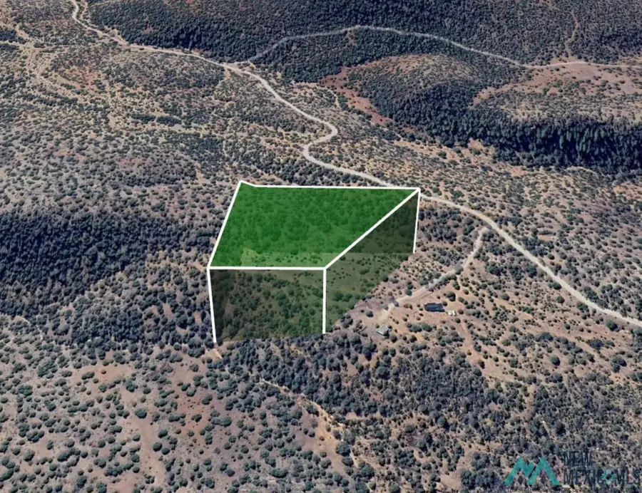 0 Lampbright Road, Hanover, NM 88041 - Image #3