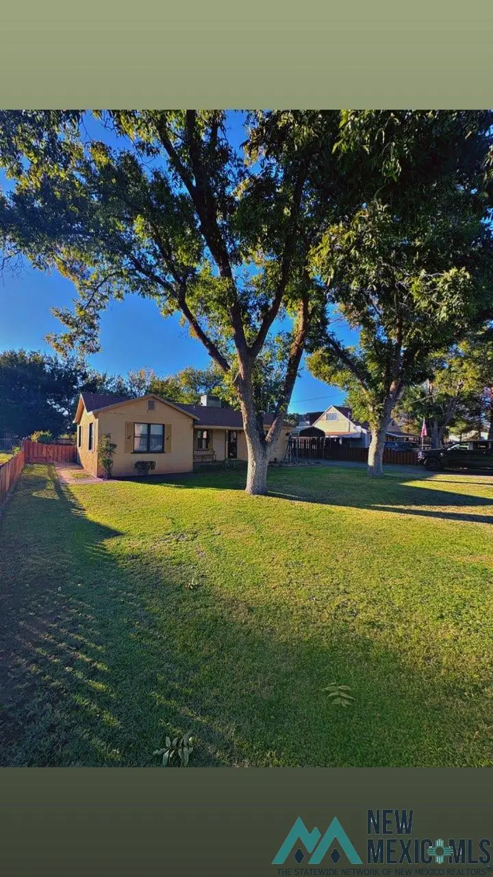 2229 N Canal Street, Carlsbad, NM 88220 - Image #3