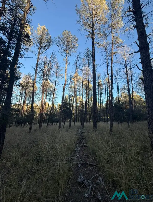 Lot 6 Pine Road, Timberon, NM 88350