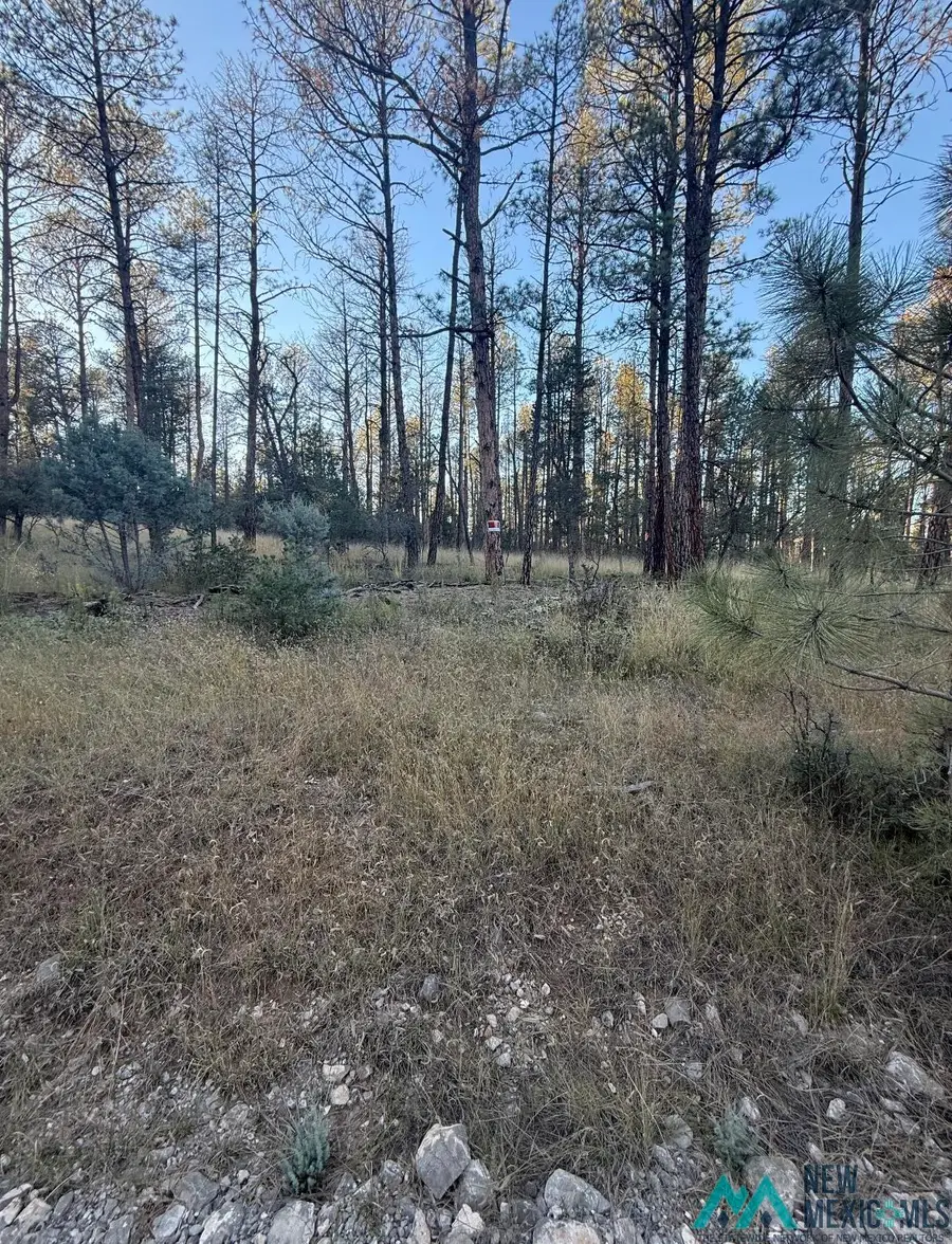 Lot 6 Pine Road, Timberon, NM 88350 - Image #2
