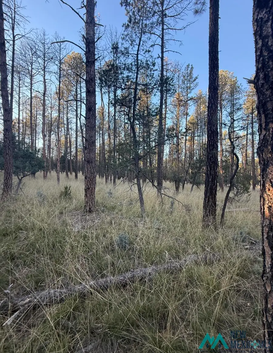 Lot 6 Pine Road, Timberon, NM 88350 - Image #3
