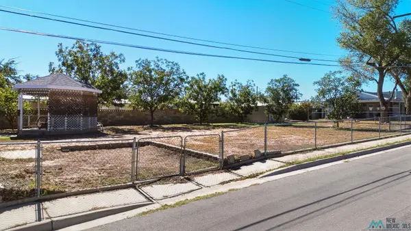 2409 Hudson Street, Carlsbad, NM 5