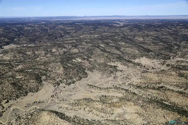 0000 4 Herrington Canyon Road, Pie Town, NM 87827
