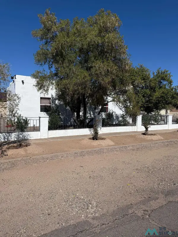 520 Zinc Street, Deming, NM 5