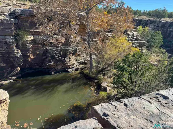 158.81 ac Off Cr B27a Road, Bernal, NM 87569