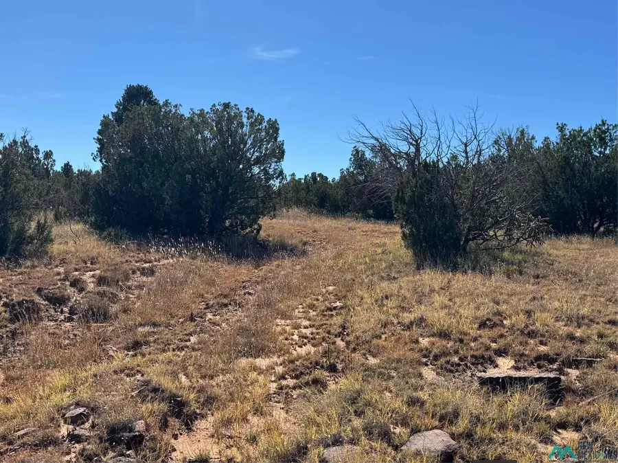 158.81 ac Off Cr B27a Road, Bernal, NM 87569 - Image #2