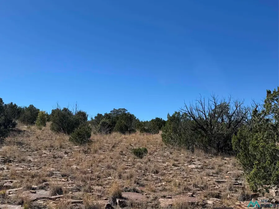 158.81 ac Off Cr B27a Road, Bernal, NM 87569 - Image #3
