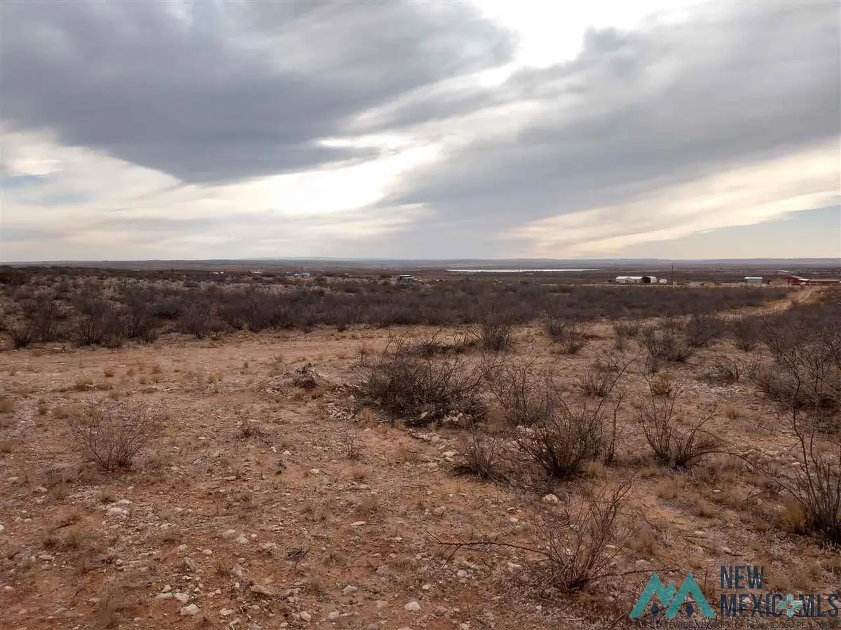 Lot 6 Illinois Camp Road, Carlsbad, NM 88220 - Image #1