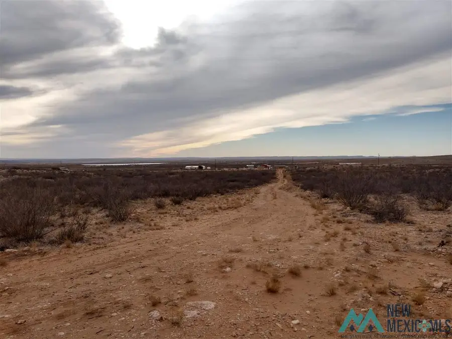 Lot 6 Illinois Camp Road, Carlsbad, NM 88220 - Image #2