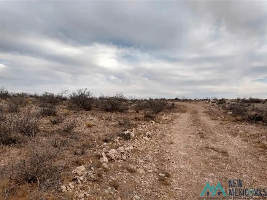 Lot 6 Illinois Camp Road, Carlsbad, NM 88220 - Image #3