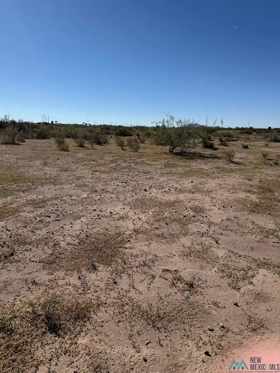 2380 Tulip Road, Deming North, NM 5 - Image #3