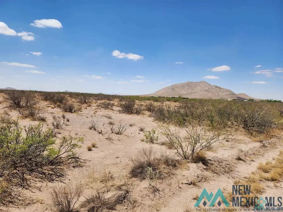 XX SW Lemitar Road, Deming, NM 88030 - Image #3