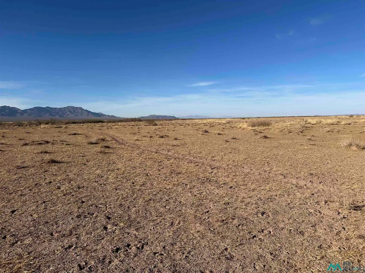 XXXX Avenura Rd Se, Deming, NM 88030 - Image #1