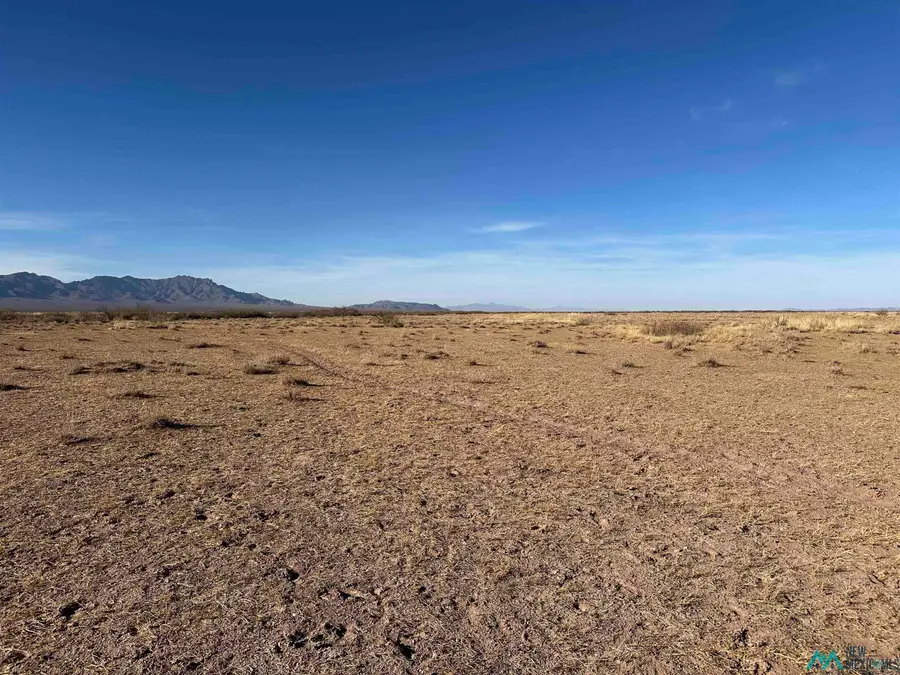 XXXX Avenura Rd Se, Deming, NM 88030 - Image #3