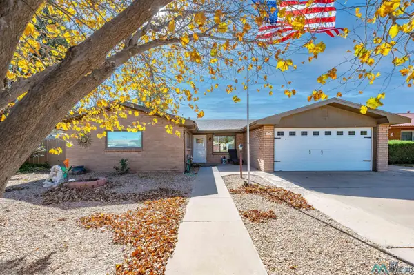 702 W Jaffa Street, Roswell, NM 88203