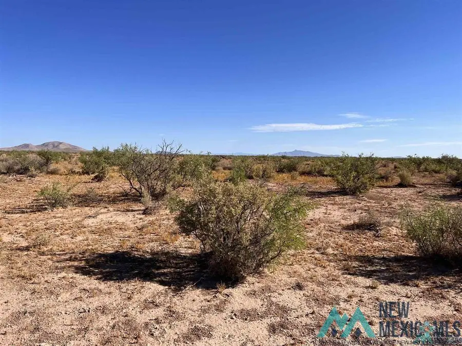 XXXX SW Cenaroca Road, Deming, NM 88030 - Image #2