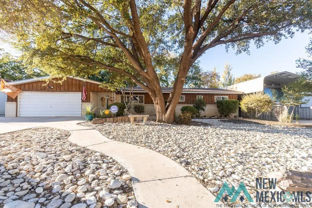 1209 Cedar Drive, Carlsbad, NM 88220 - Image #1