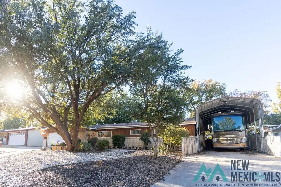 1209 Cedar Drive, Carlsbad, NM 88220 - Image #3