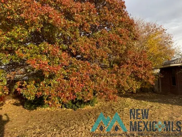 1148 Gemini Circle, Portales, NM 88130 - Image #2