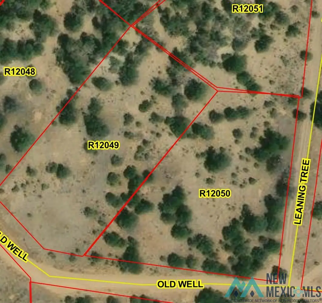 Lot 216 and 217 Old Well, Candy Kitchen, NM 87357 - Image #1