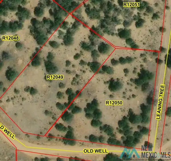 Lot 216 and 217 Old Well, Candy Kitchen, NM 87357