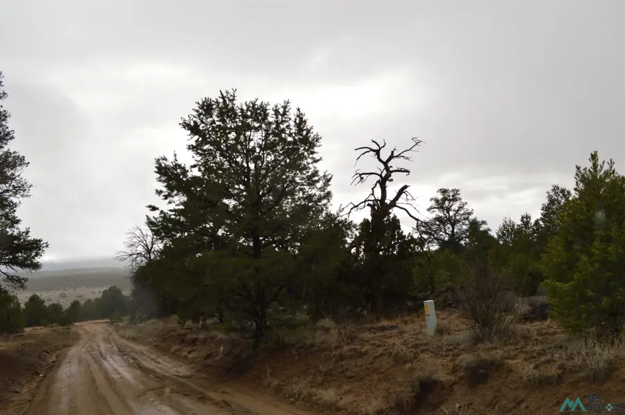 Lot 216 and 217 Old Well, Candy Kitchen, NM 87357 - Image #2