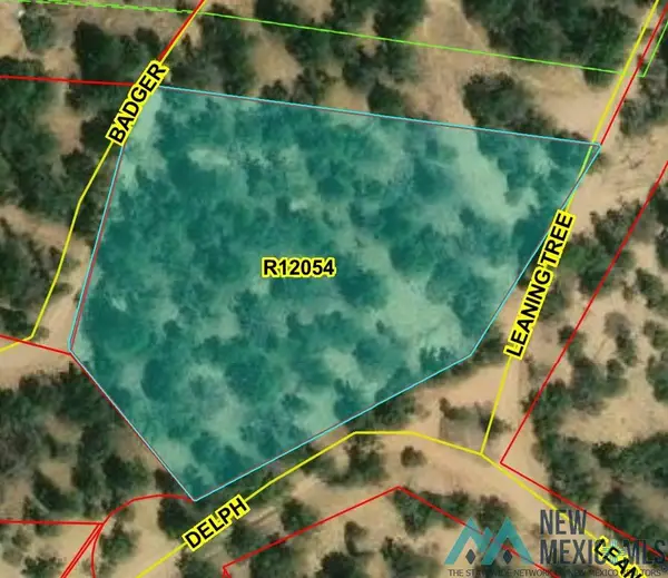 Lot 221 Delph Court, Pinehill, NM 87357
