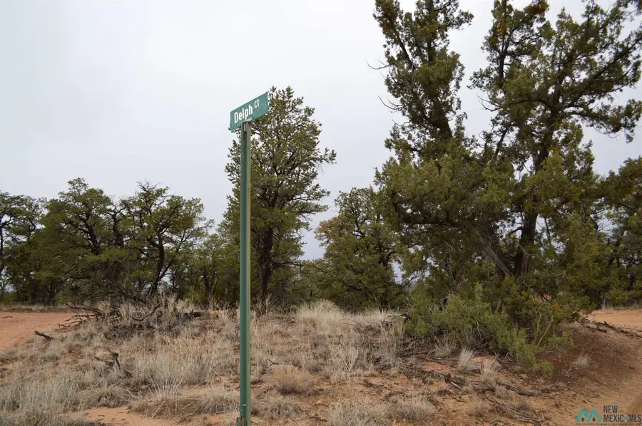 Lot 221 Delph Court, Pinehill, NM 87357 - Image #2