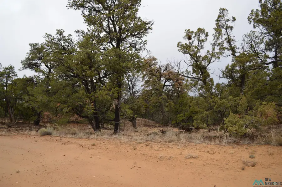 Lot 221 Delph Court, Pinehill, NM 87357 - Image #3