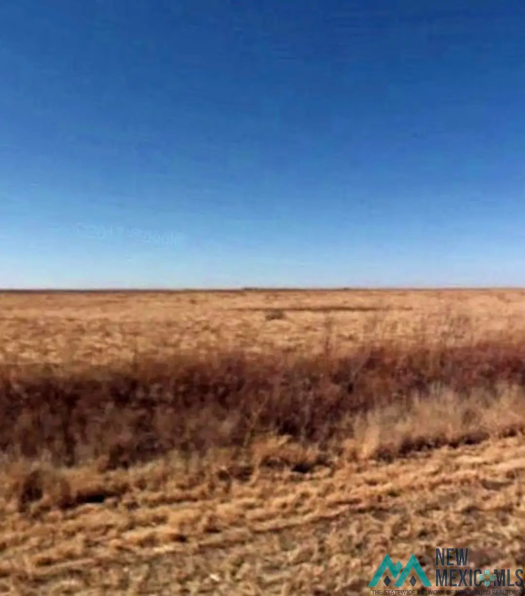 000 206 Highway, Pep, NM 88126 - Image #1