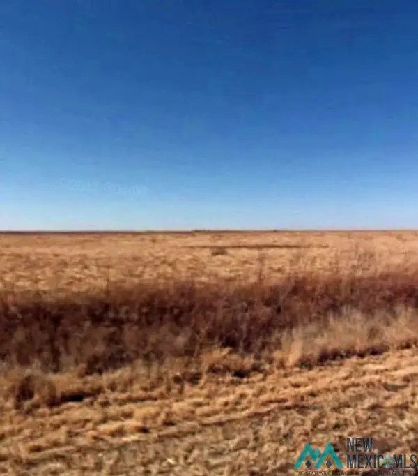 000 206 Highway, Pep, NM 88126