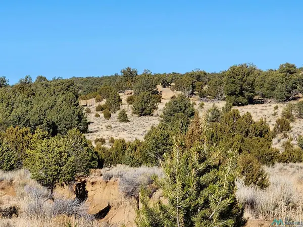 TBD Ponderosa Ranches Trail Road, Pie Town, NM 87827