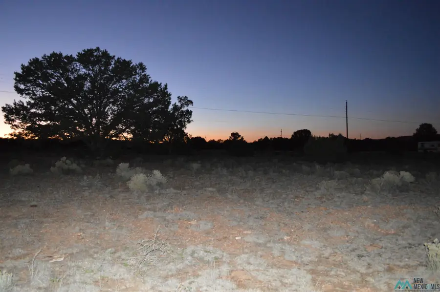 LOT 5 Weagley Road, Bluewater, NM 87323 - Image #2