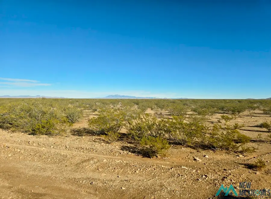 888 Las Palomas Canyon Rd Roads, Las Palomas, NM 87942 - Image #3