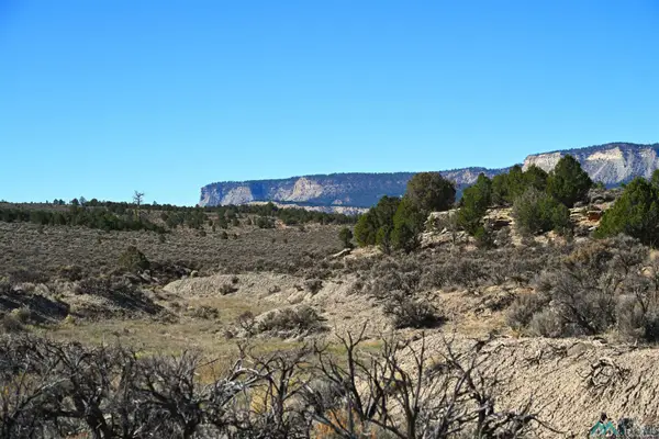 00 Pecos Drive, Tierra Amarilla, NM 87575