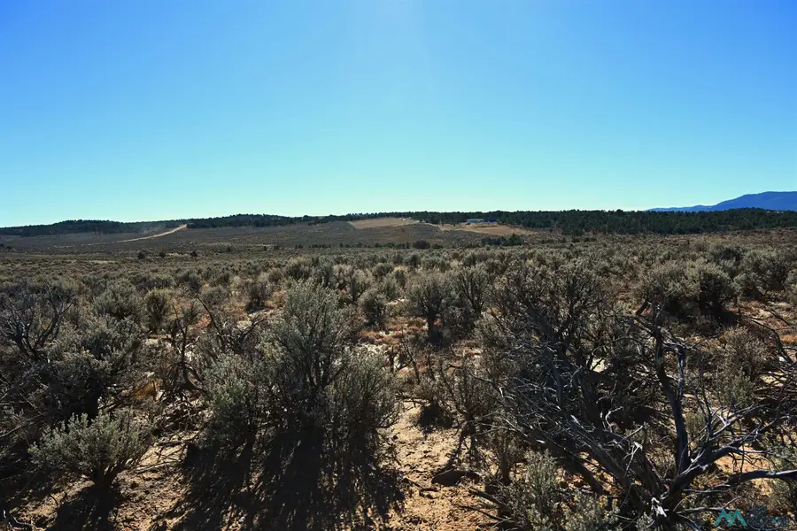 00 Pecos Drive, Tierra Amarilla, NM 87575 - Image #2