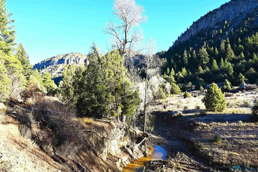 00 Cr 352, Chama, NM 87528 - #2